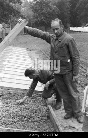 Alltagsszenen eines landwirtschaftlichen Betriebs, Deutsches Reich 30er Jahre. Szenen aus dem täglichen Leben eines landwirtschaftlichen Unternehmens, Deutschland 1930. Stockfoto