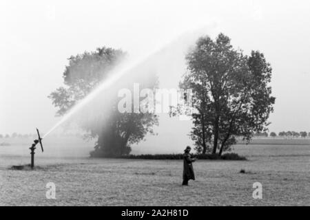 Eine Regenanlage im landwirtschaftlichen Einsatz bei einem Kartoffelacker, Deutschland 1930er Jahre. Eine Sprinkleranlage in der landwirtschaftlichen Nutzung in einem Kartoffelfeld, Deutschland 1930. Stockfoto