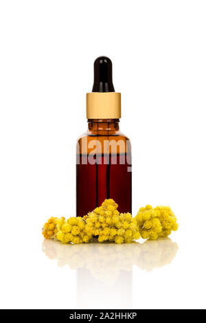 Flasche wesentliche immortelle Öl auf weißem Hintergrund. Heilpflanze Helichrysum italicum. Stockfoto