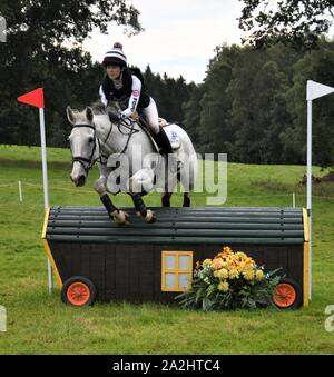 Ballingowan Leia - 11-jährige Stute 16,1 hh-geritten von Polly Stockton-CC 12* - L-Klasse - Blair Castle International Horse Trials 12.08.2019 Perthshire. Stockfoto