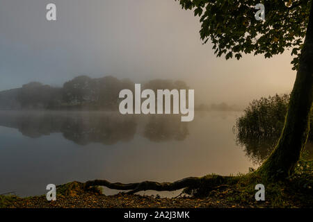 Am frühen Morgen herbst Nebel auf Esthwaite Water in der Nähe von Ambleside Stockfoto