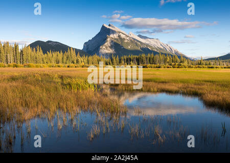 Fast perfekte Spiegelung der Rocky Mountains im Bow River. In Der Nähe Von Canmore, Alberta Canada. Die Wintersaison kommt. Bärenland. Schönheit Stockfoto