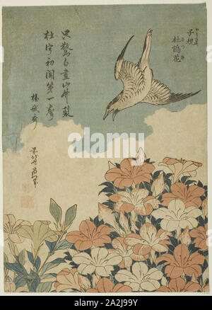 Kuckuck und Azaleen (Hototogisu, satsuki), C. 1834, Katsushika Hokusai 葛飾 北斎, Japanisch, 1760-1849, Japan, Farbe holzschnitt, chuban, 10 x 7 1/2 in. Stockfoto