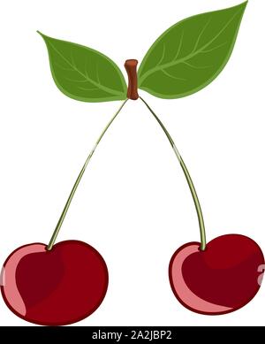 Kirsche. Farbige Zeichnung Stock Vektor