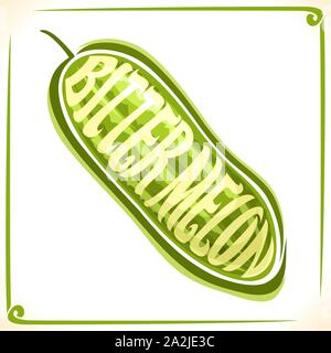 Vektor logo für Bitter Melone, Etikett mit einem bitteren Kürbis für Paket von frischen Saft oder Eis, Preis mit Original font für Word bitter Melone Stock Vektor