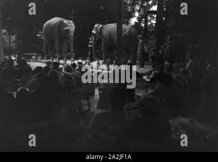 Campingurlaub Bei Marbach eine der Naab, 1930er Jahre Deutsches Reich. Camping in der Nähe von Marbach an Naab, Deutschland 1930. Stockfoto