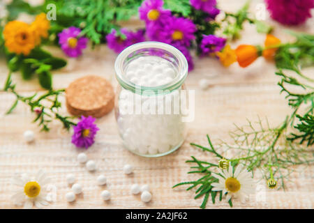 Homöopathie. Kräuterextrakte in kleinen Flaschen. Selektive konzentrieren. Natur. Stockfoto