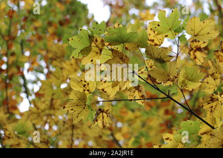 Im Herbst kommt bald Stockfoto