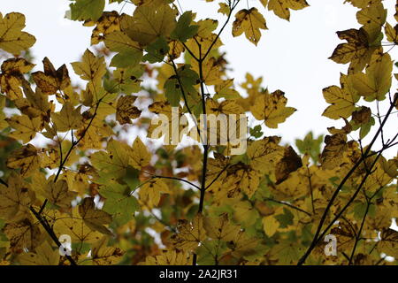 Im Herbst kommt bald Stockfoto
