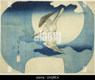 Ein Kuckuck gegen den Mond, C. 1843/46, Utagawa Hiroshige 歌川 広重, Japanisch, 1797-1858, Japan, Farbe holzschnitt, uchiwa - e, 24 x 30,7 cm (9 1/8 x 11 5/8 in Stockfoto