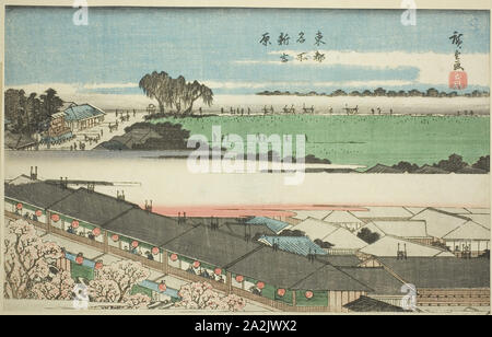 Die neue Yoshiwara (Shin Yoshiwara), aus der serie bekannte Orte in der östlichen Hauptstadt (Toto Meisho), C. 1839/42, Utagawa Hiroshige 歌川 広重, Japanisch, 1797-1858, Japan, Farbe holzschnitt, Oban, getrimmt, 21,7 x 34,3 cm (8 9/16 x 13 1/2 in. Stockfoto