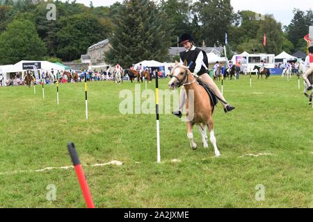 Pony Club Spiele Teams konkurrieren auf dem Blairs Castle International Horse Trials - 12.08.2019. Perthsire. Stockfoto