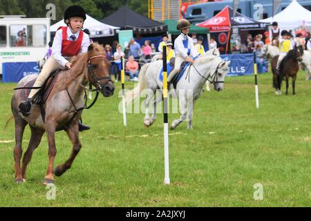 Pony Club Spiele Teams konkurrieren auf dem Blairs Castle International Horse Trials - 12.08.2019. Perthsire. Stockfoto