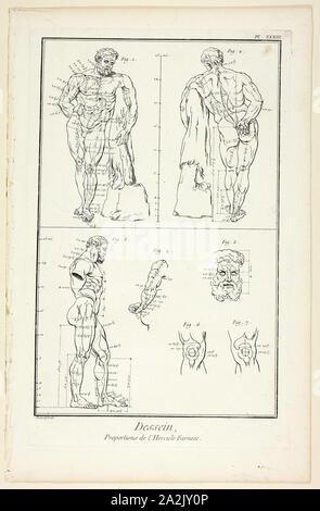 Design: Proportionen des Herkules Farnese, von Encyclopédie, 1762/77, Benoît-Louis Prévost (Französisch, C. 1735-1809), von André Le Breton (Französisch, 1708-1779), Michel-Antoine David (Französisch, c. veröffentlicht. 1707-1769), Laurent Durand (Französisch, 1712-1763), und Antoine-Claude Briasson (Französisch, 1700-1775), Frankreich, Ätzen, mit Gravur, auf Creme Bütten, 320 × 206 mm (Bild), 355 x 225 mm (Platte), 400 x 260 mm (Blatt Stockfoto