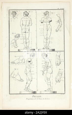 Design: Proportionen der Mediceischen Venus, von der Encyclopédie, 1762/77, Benoît-Louis Prévost (Französisch, C. 1735-1809), von André Le Breton (Französisch, 1708-1779), Michel-Antoine David (Französisch, c. veröffentlicht. 1707-1769), Laurent Durand (Französisch, 1712-1763), und Antoine-Claude Briasson (Französisch, 1700-1775), Frankreich, Ätzen, mit Gravur, auf Creme Bütten, 316 × 207 mm (Bild), 355 x 225 mm (Platte), 400 x 260 mm (Blatt Stockfoto