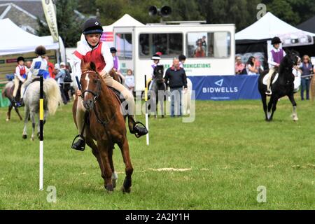 Pony Club Spiele Teams konkurrieren auf dem Blairs Castle International Horse Trials - 12.08.2019. Perthsire. Stockfoto