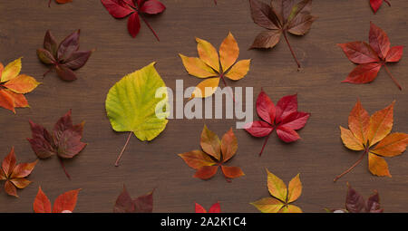 Herbst Flach von farbigen Dienstaktivitäten Blätter auf Holzboden Stockfoto