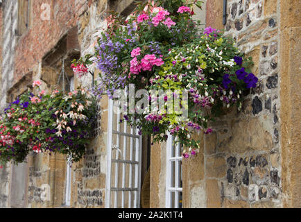 Hübsche Hängekörbe an den Hüttenwänden in Dorset Stockfoto