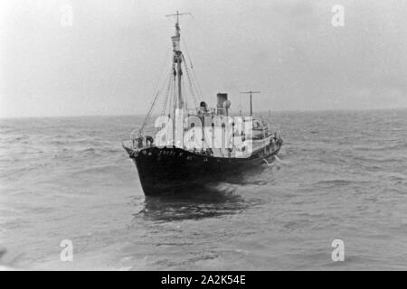 Das Fangboot' Treff VI' vom Mutterschiff "Jan Wellem" der deutschen Walfangflotte in der Arktis, 1930er Jahre. Walfang Boot "Treff VI' von Mutter Schiff "Jan Wellem" des Deutschen Walfangflotte im Arktischen Meer, 1930er Jahre. Stockfoto