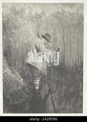 Eine Reed-Cutter bei der Arbeit, 1886, Peter Henry Emerson, Englisch, geboren in Kuba, 1856 - 1936, England, Platin drucken, PL. XXV aus dem Album 'Leben und Landschaft auf den Norfolk Broads' (1886), Ausgabe von 200, 28,3 × 20,7 cm (Bild/Papier), 41,1 × 28,6 cm (album Seite Stockfoto