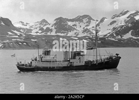 Fangboot" Treff ICH' des Mutterschiffs Walfang "Jan Wellem" der deutschen Walfangflotte, 1930er Jahre. Walfang Boot "Treff ICH" der Fabrik Schiff "Jan Wellem", 1930er Jahre. Stockfoto