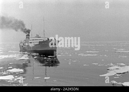 Mein Schiff der deutschen Walfangflotte im Eismeer in der Arktis, 1930er Jahre. Ein Schiff der Deutschen Walfangflotte im Arktischen Meer, 1930er Jahre. Stockfoto