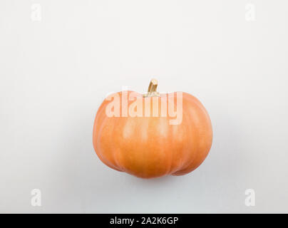 Orange Kürbis über weißen Hintergrund. Einfache rohe Kürbis mit Stiel. Herbst Ernte natur Konzept. Flach, mit kopieren. Stockfoto