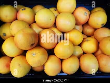 Obst und Gemüse Gang in ein Pick n Pay Supermarkt, Südafrika Stockfoto