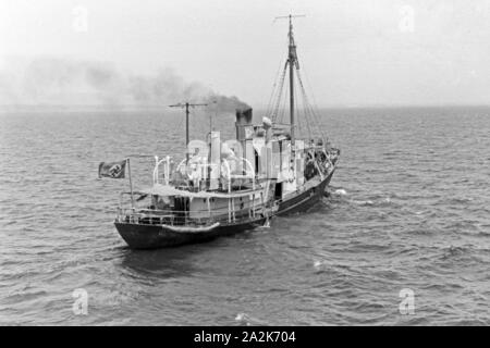 Fangboot' Treff V' des Walfangfabrikschiffs "Jan Wellem" der deutschen Walfangflotte, 1930er Jahre. Walfang Boot "Treff V" der Fabrik Schiff "Jan Wellem" des Deutschen Walfangflotte, 1930er Jahre. Stockfoto