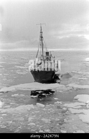 Fangboot' Treff V' der deutschen Walfangflotte im Eismeer der Antarktis, 1930er Jahre. Walfang Boot "Treff V" des Deutschen Walfangflotte auf der antarktischen Meer, 1930er Jahre. Stockfoto