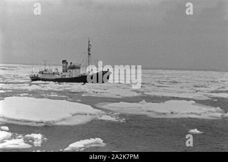 Fangboot' Treff II' der deutschen Walfangflotte im Eismeer der Antarktis, 1930er Jahre. Walfang Boot "Treff II" des Deutschen Walfangflotte auf der antarktischen Meer, 1930er Jahre. Stockfoto