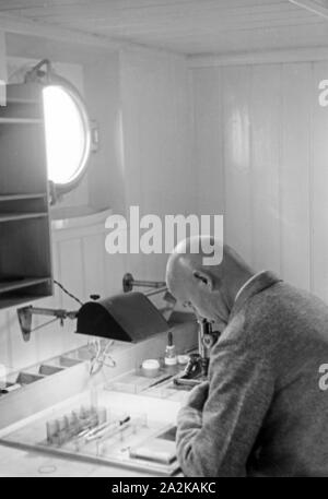 Bei der Arbeit in der Biologischen Anstalt Helgoland, Deutschland 1930er Jahre. Bei der Arbeit an der Biologischen Anstalt, Institut für biologische Forschung an der Insel Helgoland, Deutschland 1930. Stockfoto