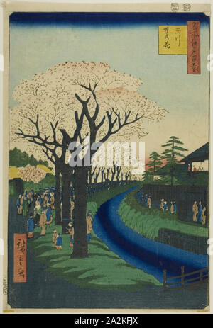 Blüten auf die Tama River Embankment (Tamagawa - zutsumi no hana), aus der Serie 100 berühmten Ansichten von Edo (Meisho Edo hyakkei), 1856, Utagawa Hiroshige 歌川 広重, Japanisch, 1797 - 1858, Japan, Farbe holzschnitt, Oban Stockfoto