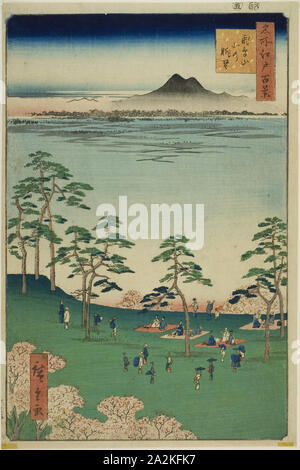 Blick nach Norden von Asuka Hill (asukayama Kita keine chobo), aus der Serie 100 berühmten Ansichten von Edo (Meisho Edo hyakkei), 1856, Utagawa Hiroshige 歌川 広重, Japanisch, 1797 - 1858, Japan, Farbe holzschnitt, Oban Stockfoto