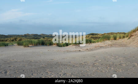 Grasbewachsene Dünen auf der Insel Terschelling Stockfoto