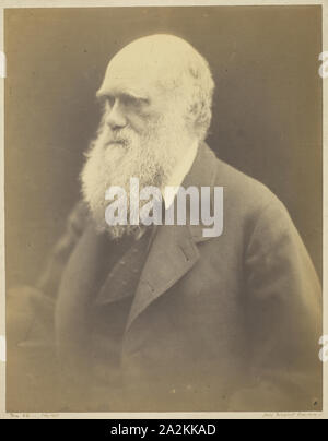 Charles Darwin, 1868, Julia Margaret Cameron, Englisch, 1815 - 1879, England, Albumen print, 30,5 x 23,8 cm (Bild/Papier), 44,1 × 35,9 cm (mount Stockfoto