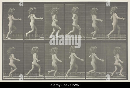 Animal Locomotion, Plate 469, 1887, Eadweard Muybridge, Englisch, aktive United States, 1830 - 1904, England, Lichtdruck, von "Animal Lokomotive Stockfoto