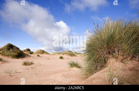 Sanddünen am Balmedie Beach Aberdeen Stockfoto