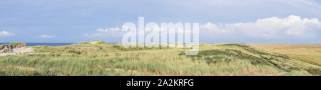 Grasbewachsene Dünen auf der Insel Terschelling Stockfoto