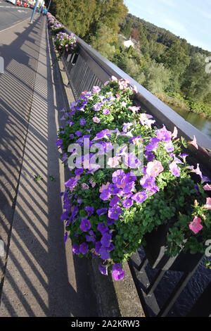 South Street Bridge Perth GROSSBRITANNIEN Stockfoto