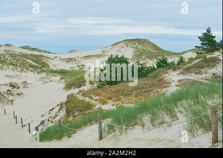 Weg durch die Dünen zum Meer führenden Stockfoto