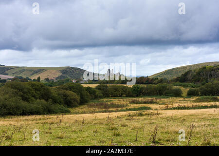 Landschaft Landschaft mit Blick auf Corfe Castle in der Ferne, Isle of Purbeck, Dorset, England, Großbritannien Stockfoto