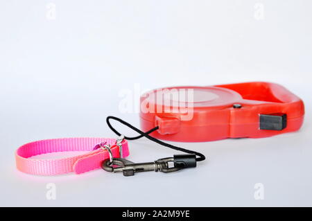 Roter Leine und Rosa nylon Katzen Halsband auf weißem Hintergrund Stockfoto