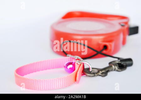 Roter Leine und Rosa nylon Katzen Halsband auf weißem Hintergrund Stockfoto