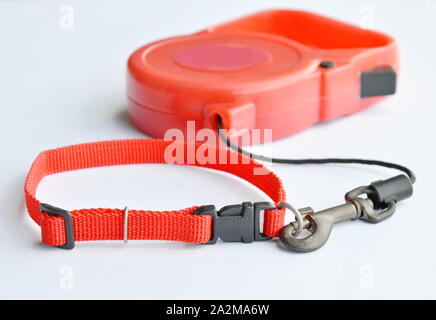 Red Color Matching von automatischen Leine und Nylon Halsband auf weißem Hintergrund Stockfoto