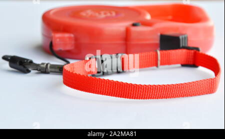 Red Color Matching von automatischen Leine und Nylon Halsband auf weißem Hintergrund Stockfoto