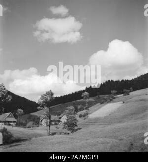 Und äh Höhle Luftkurort Bad Rippoldsau-Schapbach Im Schwarzwald, Deutschland, 1930er Jahre. Bei der Luftkurort Bad Rippoldsau-Schapbach im Schwarzwald, Deutschland der 1930er Jahre. Stockfoto