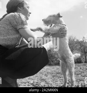 Eine junge Frau spielt mit einem Foxterrier, Deutschland 1930er Jahre. Eine junge Frau spielen mit einem Fox Terrier, Deutschland 1930. Stockfoto