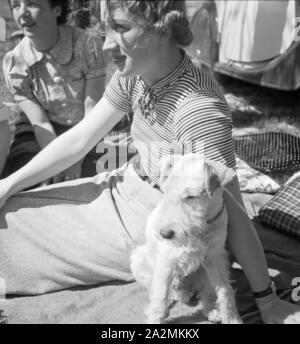 Eine junge Frau sitzt mit ihrem Foxterrier in einer Wiese, Deutschland 1930er Jahre. Eine junge Frau und ihre Fox Terrier sitzen auf einem Rasen, Deutschland 1930. Stockfoto