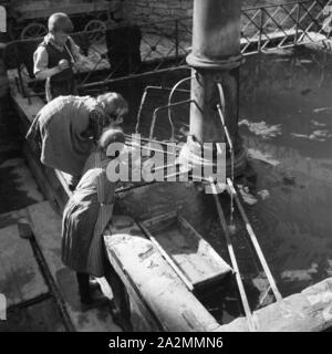 Kinder stärken sich ein einem Brunnen in der Innenstadt von Heidelberg, Deutschland 1930er Jahre. Kinder trinken Wasser aus einem Brunnen in der Altstadt von Heidelberg, Deutschland 1930. Stockfoto